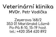 Vzorový otisk