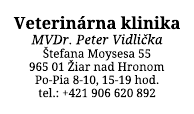 Šablóna