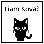 Vzorčni odtis