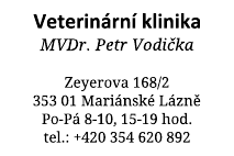 Vzorový otisk