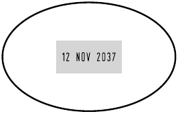 Template Blank