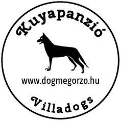 Lenyomatminta