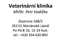 Vzorový otisk